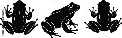 Cuadro en lienzo Black Frog Silhouette Set, Vector Tree Frog Icons, Poison Dart Frog Illustration