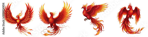 Bild auf Leinwand Set of mythical phoenix birds with fire feathers and flaming wings isolated on w