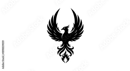 Rising phoenix silhouette on white background