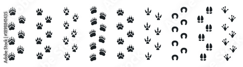 Animal footprint tracks and paw print trails, wildlife and bird footsteps, black silhouette vector set on transparent background
