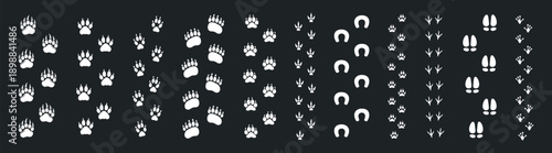Animal paw prints set, wild and pet footprints collection, simple flat vector silhouettes
