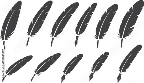 Pen feather icon simple style vector image. Feathers vector set in a flat style. isolated feathers silhouette