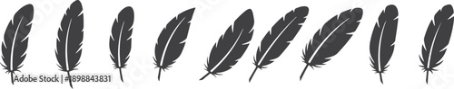 Pen feather icon simple style vector image. Feathers vector set in a flat style. isolated feathers silhouette