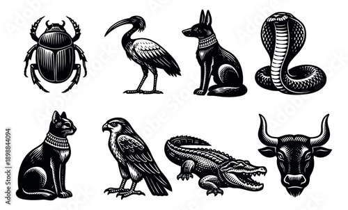 Vintage hand drawn ancient Egyptian symbols set featuring sacred animals for historical and cultural themes