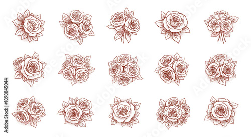 Set of twelve vintage floral illustrations with detailed rose designs