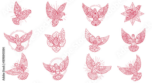 Collection of pink butterfly illustrations with intricate wing designs