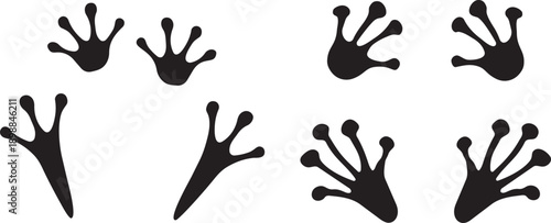 Frog Footprints: A collection of distinct frog footprints, each showcasing the unique webbed feet, perfect for educational content or creative projects.
