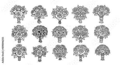 Set of twelve line art illustrations of different tree varieties