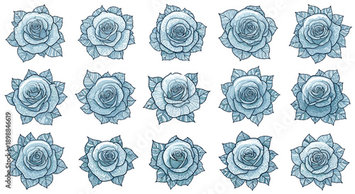 Collection of blue roses with detailed petals and natural appearance
