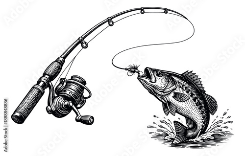 Hand drawn line art illustration of a fishing rod and a bass depicting the moment of a catch for outdoor sport