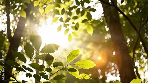 Sunlight Streaming Through Green Forest Leaves. AI Generated