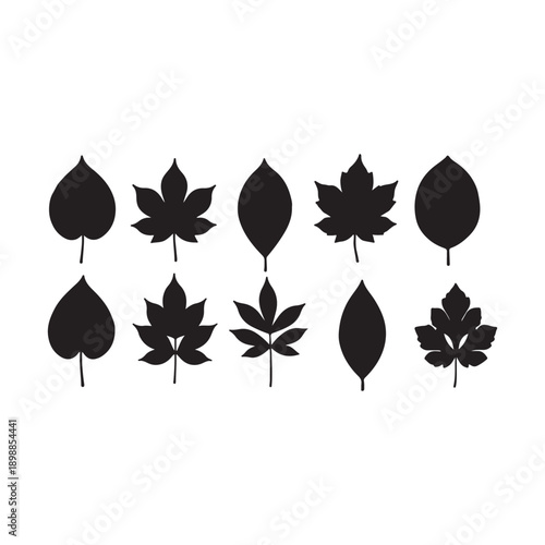 collection of various leaf silhouettes in black on white background