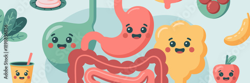 Anthropomorphic digestive organ characters for gut health - Great for kid-friendly medical education, nutrition apps, or fun health blogs.