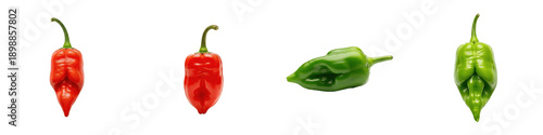 Schilderij op canvas Habanero chili peppers set, fresh red and green spicy hot peppers, organic Mexic