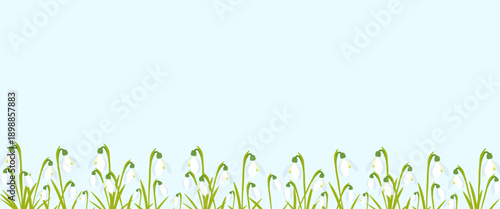Spring floral border illustration with delicate white snowdrops growing in fresh green grass, minimal nature banner for greeting cards, seasonal headers and Easter designs