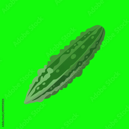 Fresh green okra pod illustration for healthy eating
