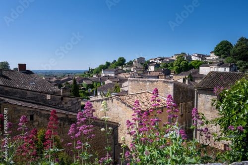 View of the roofs of Saint-Emilion in spring, Gironde, France