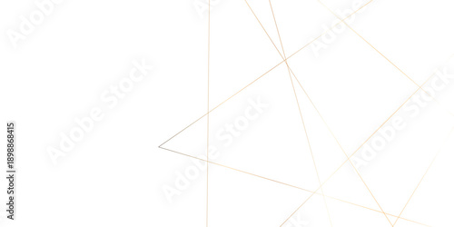 Abstract Minimal White Background with Sparse Chaotic Line Network Pattern