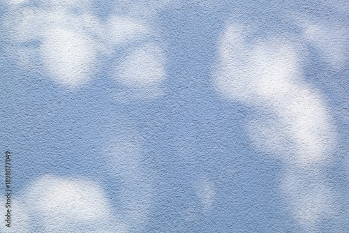 Light shining through the leaves onto the textured wall creates soft, dreamy shadows.