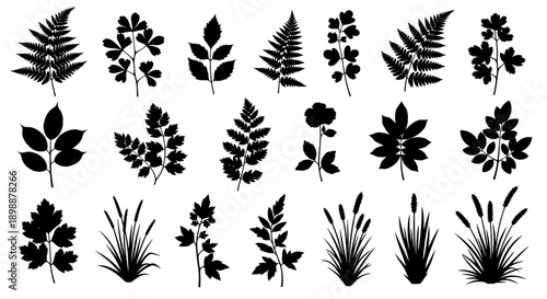 Collection of black silhouettes of various plants and leaves