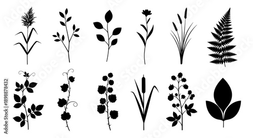 Black silhouettes of various plants and flowers on white background