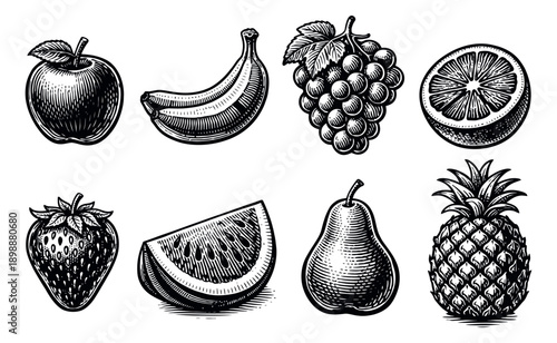 Vintage hand drawn fruit set featuring diverse fruits for healthy lifestyle