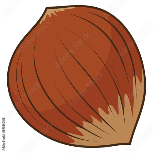 Healthy food hazelnut icon vector illustration ideal for organic nutrition branding ingredient symbols diet concepts and natural food visual projects