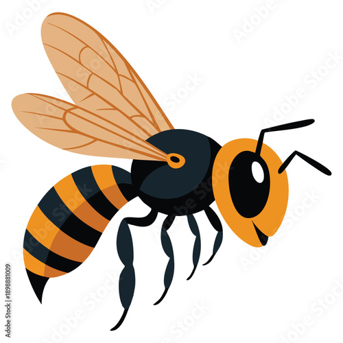 Hornet illustration on white background detailed insect artwork suitable for nature wildlife danger warning or entomology themed designs