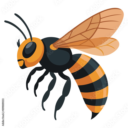 Hornet vector illustration on white background ideal for nature insect wildlife biology or caution themed design usage