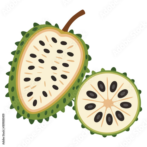 Illustration of a soursop fruit showcasing tropical produce food concept ideal for healthy nutrition poster packaging botanical artwork and fruit themed designs