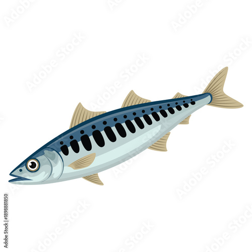 Illustration of sardines on white background simple clean style ideal for seafood food ingredient nutrition and culinary themed artwork
