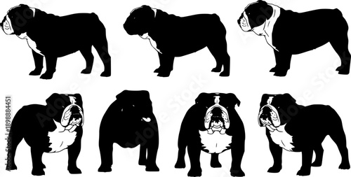 Black silhouette of a standing English bulldog 