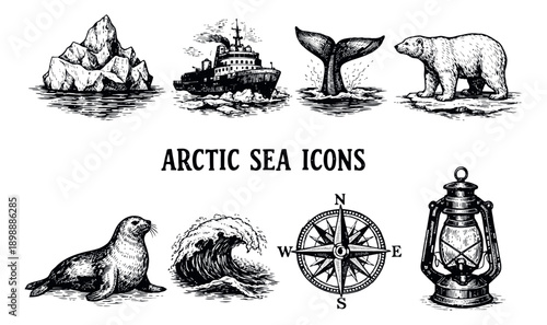 Hand drawn line art arctic sea elements set featuring an iceberg, polar bear, seal, icebreaker, whale, compass, lantern, and wave for northern exploration