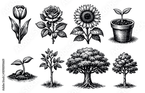 Hand drawn line art botanical set featuring flowers, seedlings and trees for nature and gardening designs