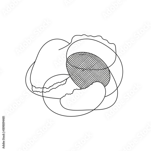Simple Line Drawing of an Oyster Shell.