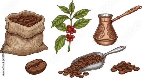 Coffee Beans Plant and Turkish Cezve Set, Hand Drawn Vintage Style Vector Illustration Collection