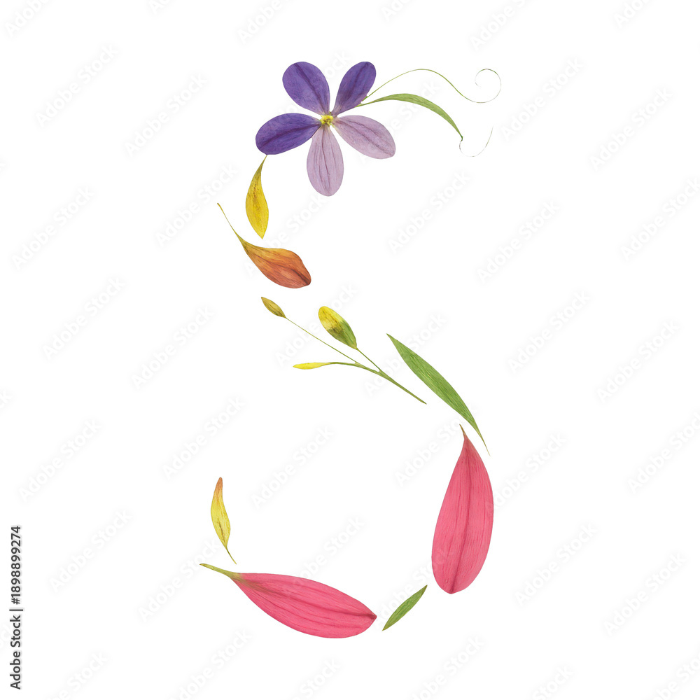 Obraz premium PNG Floral letter S illustration.