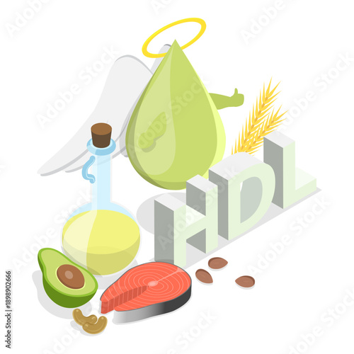 3D Isometric Flat Vector Illustration of HDL Vs LDL, Comparison Of Cholesterol Types With Examples. Item 2