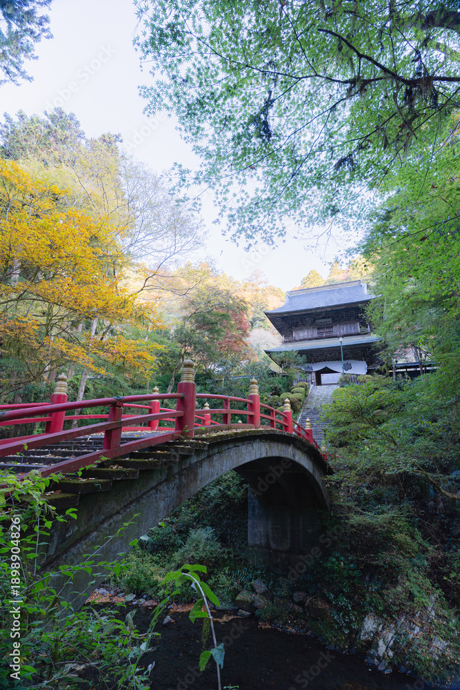 Fototapeta premium 雲巌寺の橋と山門を彩る紅葉