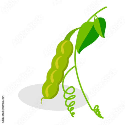 3D Isometric Flat Vector Set of Protein Food, Fresh Soybeans Straight From Nature. Item 3