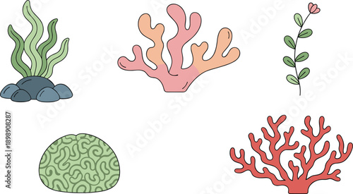 Underwater Coral and Sea Plant Elements Set, Cute Flat Ocean Nature Vector Illustration Collection