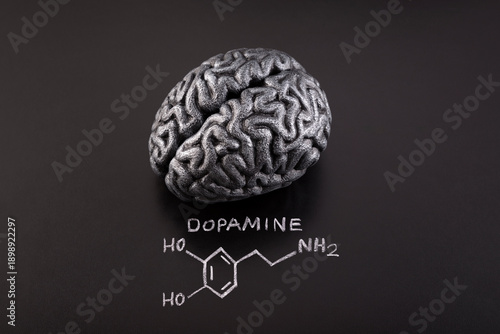 Human brain model with chemical formula of dopamine drawn with chalk on scholl blackboard.