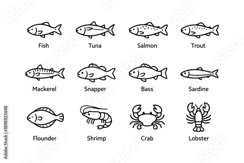 Illustration of fish and seafood including tuna, salmon, lobster, and crab