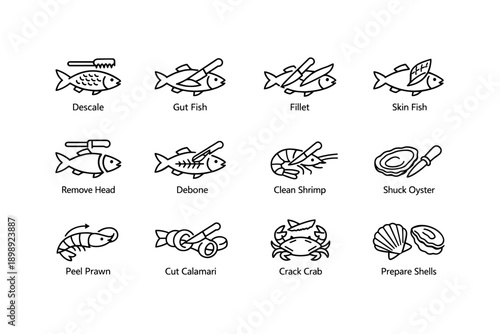 Seafood preparation techniques: fish, shrimp, oyster, prawn, calamari, crab