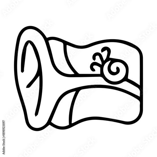 Human Ear Anatomy Illustration