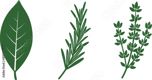 Stylized illustration of bay leaf, rosemary, and thyme sprigs on a white background