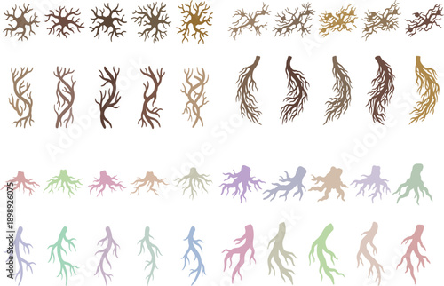 Tree roots and neurons in various colors colorful branches