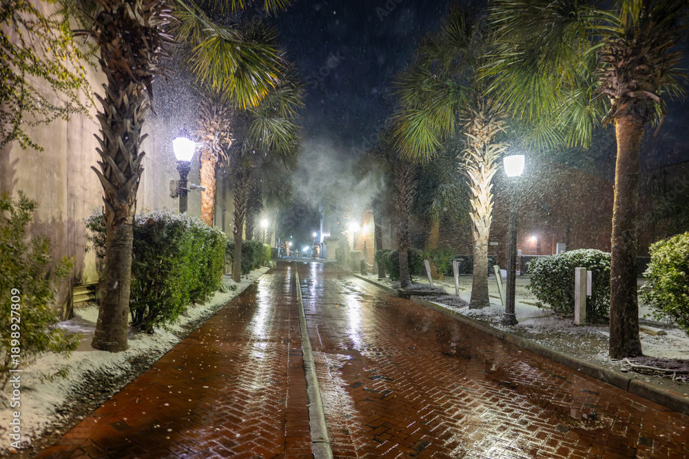 Fototapeta premium Snow falls on a brick path lined with palm trees and street lamps during the night in a coastal town