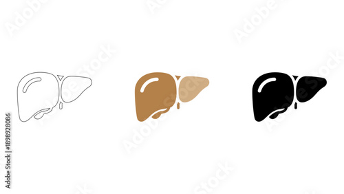 An infographic of human liver in different colors representing detoxification and metabolic body functions