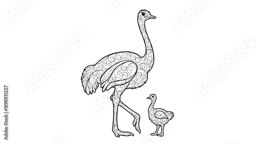 An Intricate Filigree Vector of an Ostrich and Chick from African Savannah. transparent.